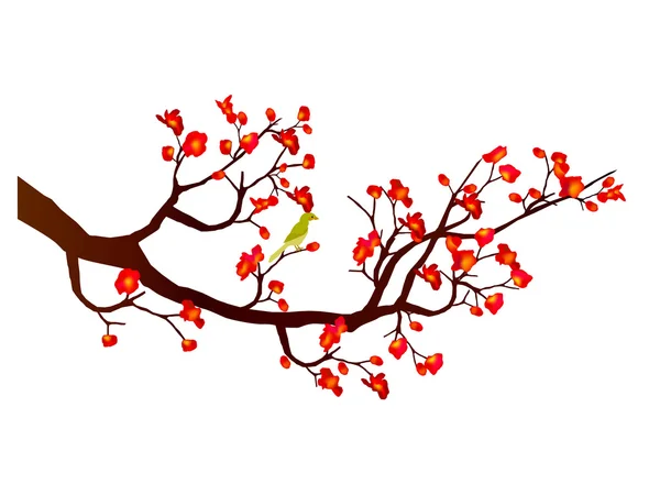 Plum flower icon　spring — Wektor stockowy